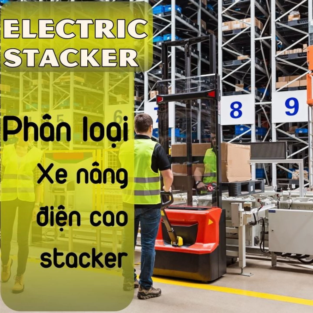 Các dòng xe nâng Crown Battery: tay thấp, đứng lái, reach truck